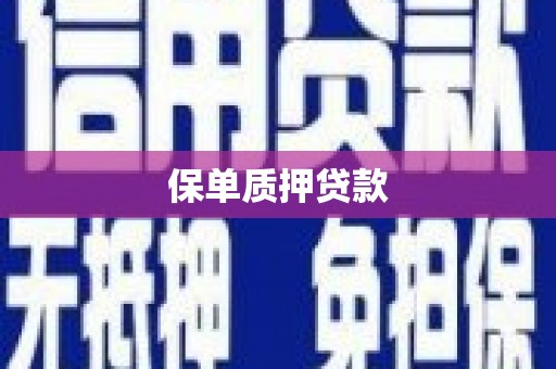 邵阳县保单质押贷款