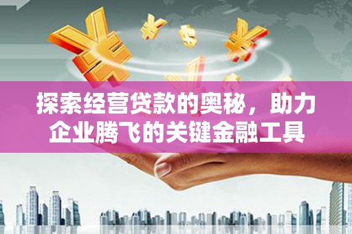 邵阳县探索经营贷款的奥秘，助力企业腾飞的关键金融工具