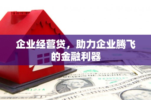 邵阳县企业经营贷，助力企业腾飞的金融利器