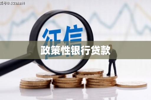 邵阳县政策性银行贷款