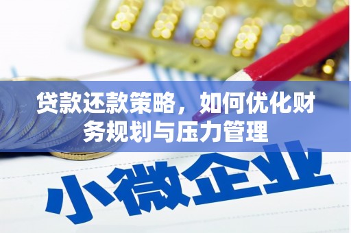 邵阳县贷款还款策略，如何优化财务规划与压力管理