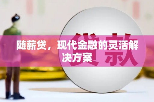 邵阳县随薪贷，现代金融的灵活解决方案