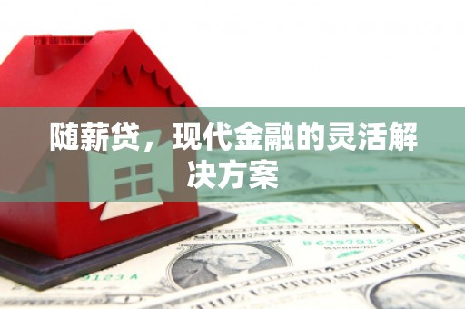邵阳县随薪贷，现代金融的灵活解决方案