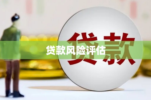 邵阳县贷款风险评估