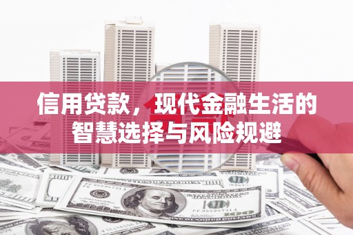 邵阳县信用贷款，现代金融生活的智慧选择与风险规避