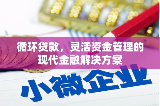 邵阳县循环贷款，灵活资金管理的现代金融解决方案