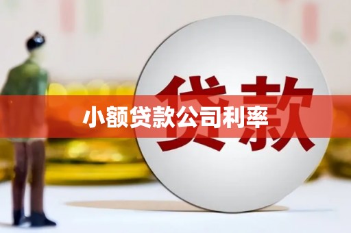 邵阳县小额贷款公司利率