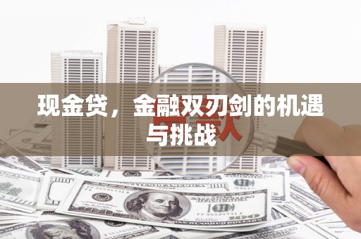 邵阳县现金贷，金融双刃剑的机遇与挑战