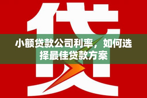 邵阳县小额贷款公司利率，如何选择最佳贷款方案
