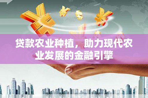 邵阳县贷款农业种植，助力现代农业发展的金融引擎