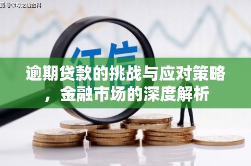邵阳县逾期贷款的挑战与应对策略，金融市场的深度解析