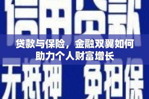 邵阳县贷款与保险，金融双翼如何助力个人财富增长
