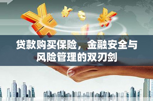 邵阳县贷款购买保险，金融安全与风险管理的双刃剑
