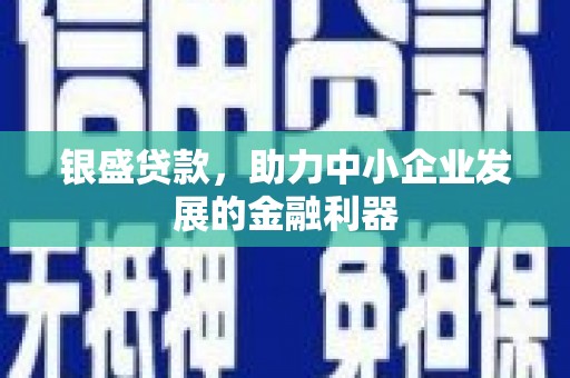 邵阳县银盛贷款，助力中小企业发展的金融利器