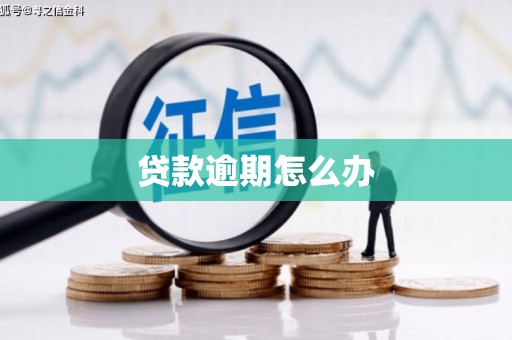 邵阳县贷款逾期怎么办