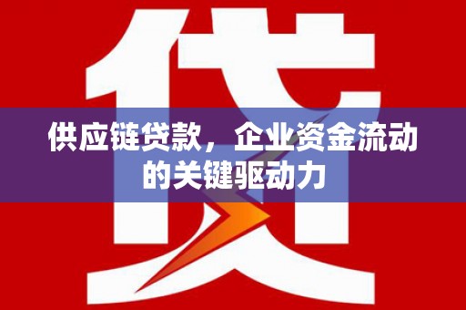 邵阳县供应链贷款，企业资金流动的关键驱动力
