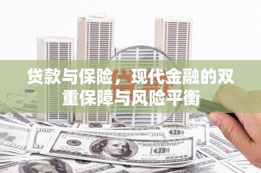 邵阳县贷款与保险，现代金融的双重保障与风险平衡