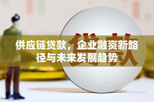 邵阳县供应链贷款，企业融资新路径与未来发展趋势