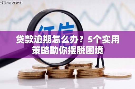 邵阳县贷款逾期怎么办？5个实用策略助你摆脱困境