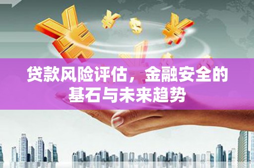 邵阳县贷款风险评估，金融安全的基石与未来趋势
