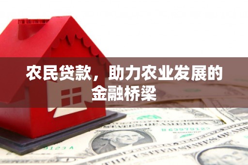 邵阳县农民贷款，助力农业发展的金融桥梁