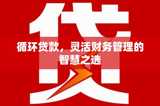邵阳县循环贷款，灵活财务管理的智慧之选