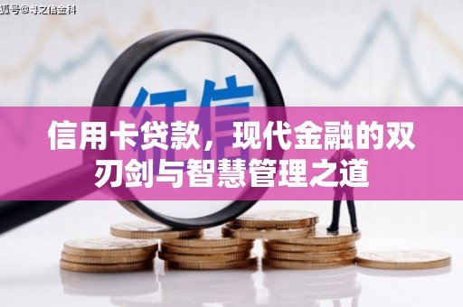 邵阳县信用卡贷款，现代金融的双刃剑与智慧管理之道