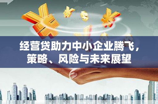 邵阳县经营贷助力中小企业腾飞，策略、风险与未来展望