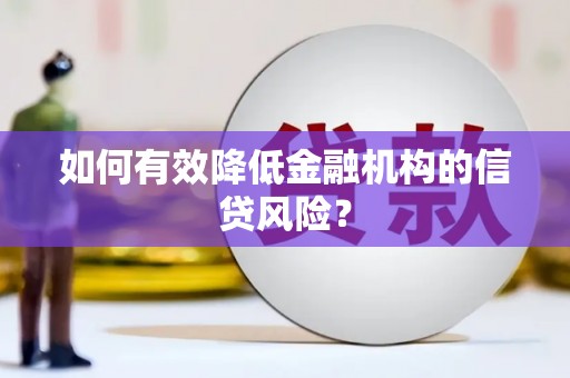 邵阳县如何有效降低金融机构的信贷风险？