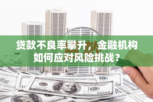 邵阳县贷款不良率攀升，金融机构如何应对风险挑战？