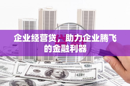 邵阳县企业经营贷，助力企业腾飞的金融利器