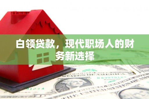 邵阳县白领贷款，现代职场人的财务新选择