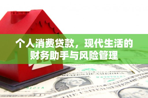 邵阳县个人消费贷款，现代生活的财务助手与风险管理