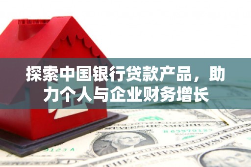 邵阳县探索中国银行贷款产品，助力个人与企业财务增长