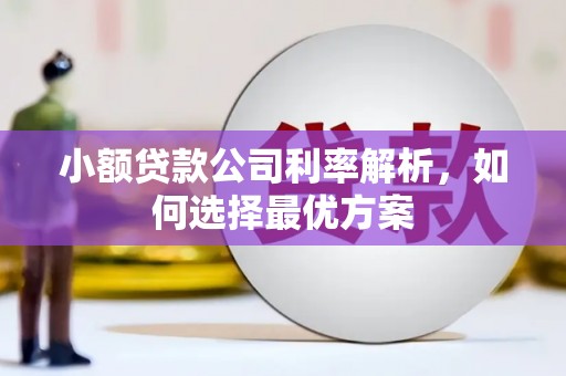 邵阳县小额贷款公司利率解析，如何选择最优方案