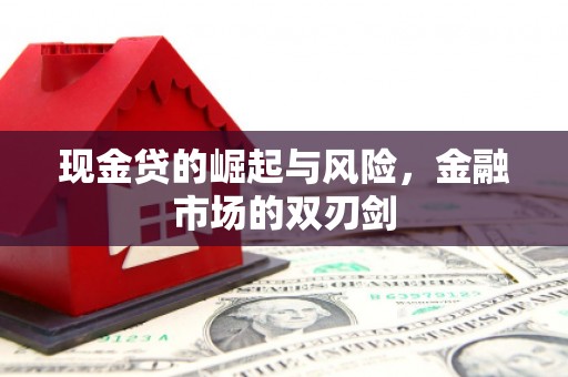 邵阳县现金贷的崛起与风险，金融市场的双刃剑