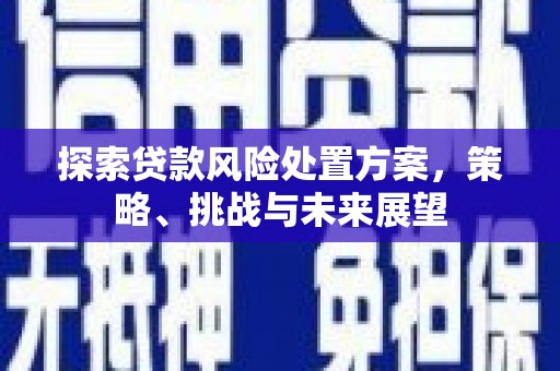 邵阳县探索贷款风险处置方案，策略、挑战与未来展望