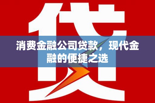 邵阳县消费金融公司贷款，现代金融的便捷之选
