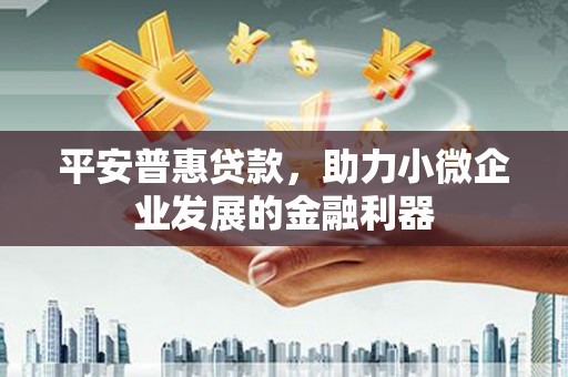 邵阳县平安普惠贷款，助力小微企业发展的金融利器