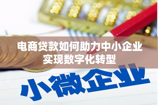 邵阳县电商贷款如何助力中小企业实现数字化转型