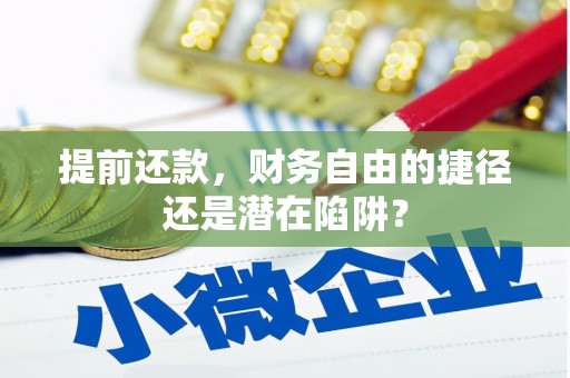 邵阳县提前还款，财务自由的捷径还是潜在陷阱？