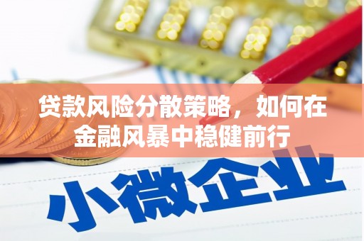 邵阳县贷款风险分散策略，如何在金融风暴中稳健前行