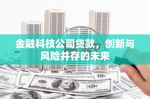 邵阳县金融科技公司贷款，创新与风险并存的未来