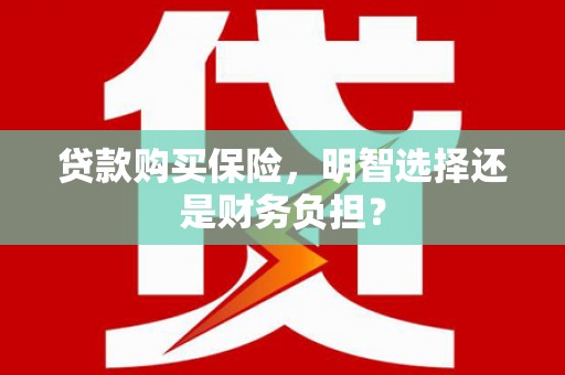 邵阳县贷款购买保险，明智选择还是财务负担？
