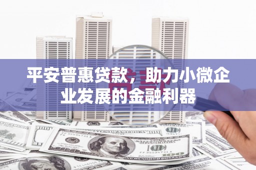 邵阳县平安普惠贷款，助力小微企业发展的金融利器