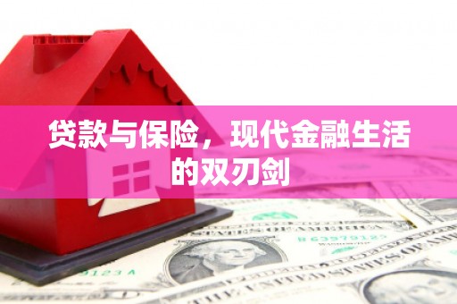 邵阳县贷款与保险，现代金融生活的双刃剑