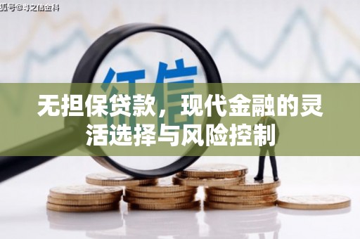 邵阳县无担保贷款，现代金融的灵活选择与风险控制