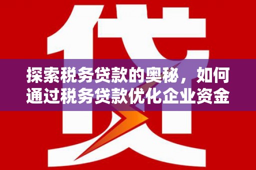 邵阳县探索税务贷款的奥秘，如何通过税务贷款优化企业资金流