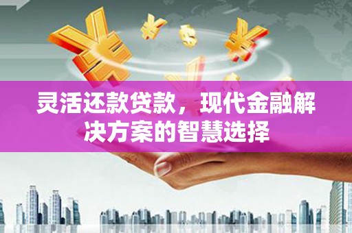 邵阳县灵活还款贷款，现代金融解决方案的智慧选择
