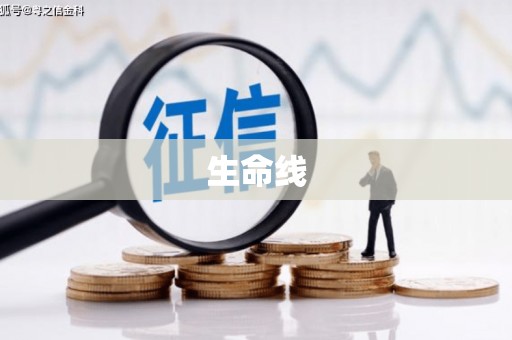 邵阳县生命线
